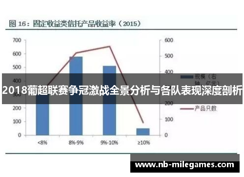 2018葡超联赛争冠激战全景分析与各队表现深度剖析
