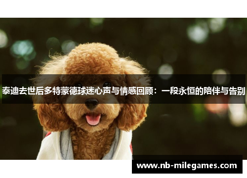 泰迪去世后多特蒙德球迷心声与情感回顾：一段永恒的陪伴与告别