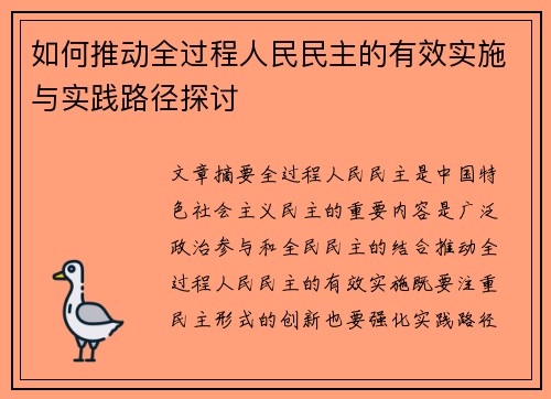 如何推动全过程人民民主的有效实施与实践路径探讨