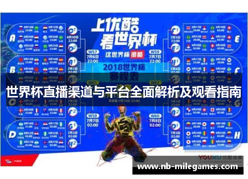 世界杯直播渠道与平台全面解析及观看指南