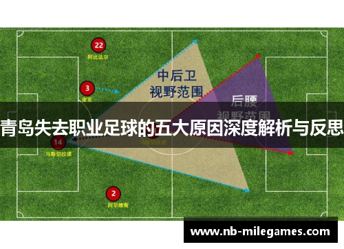 青岛失去职业足球的五大原因深度解析与反思