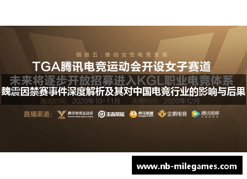 魏震因禁赛事件深度解析及其对中国电竞行业的影响与后果